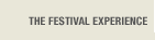 The Festival Experience